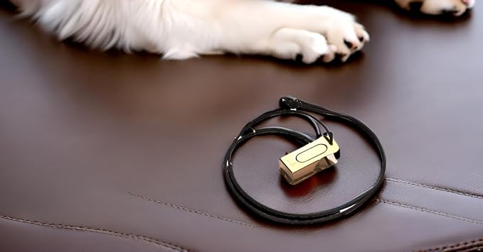 Mythrojan Brass and Steel Pet Training Clicker Puppy Dog Training Cricket Clicker U.S. Engraved Military Gear Metal Clicker (Clicker Pack of 2Pcs)