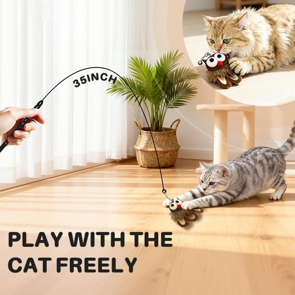 Walfront Interactive Cat Toy Wand — 3 Natural Heads (Bird, Zen, Owl) | Cat Teaser Wand for Interactive Play, Stimulates Hunting Instincts, Relieves Boredom & Boosts Activity for Indoor Cats & Kittens
