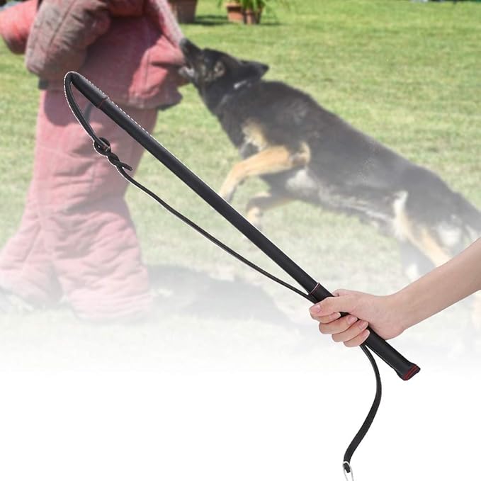Dog Teaser Wand, Handle Length 20.7in Dog Whip, Band Length 37.4in Dogs Flirt Pole Toy Suitable for Daily Outdoor Exercises and Indoor Command Reinforcement for Medium and Large Dogs