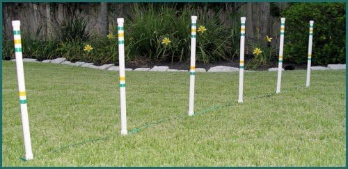 6 Stick in The Ground for Small Dog - Agility Equipment
