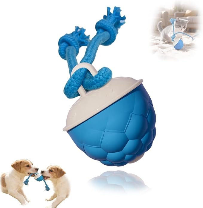 Power Tail 2.0 Automatic Moving Dog Ball - Interactive Dog Toy | Self-Rolling, Motion Activated Electric Pet Ball to Keep Dogs Busy & Relieve Boredom (Suitable for All Dog Breeds)