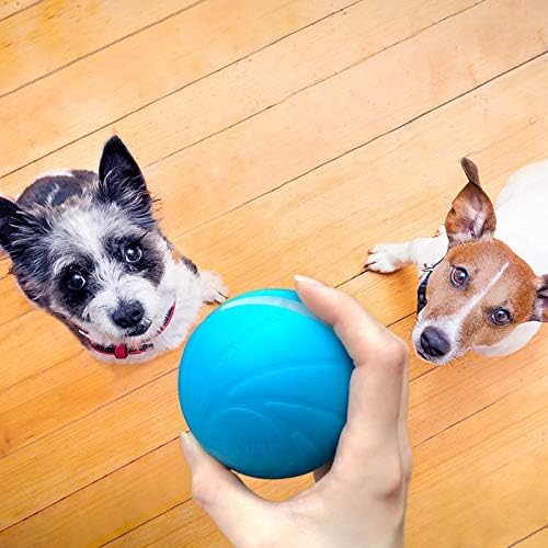 Cheerble Interactive Dog Toy Automatic Moving Ball, Wicked Ball for Big Dog (Not for Aggressive Chewers), Smart Robotic Indoor Outdoor Pet Toy, USB Rechargeable Toy for Medium Large Dogs