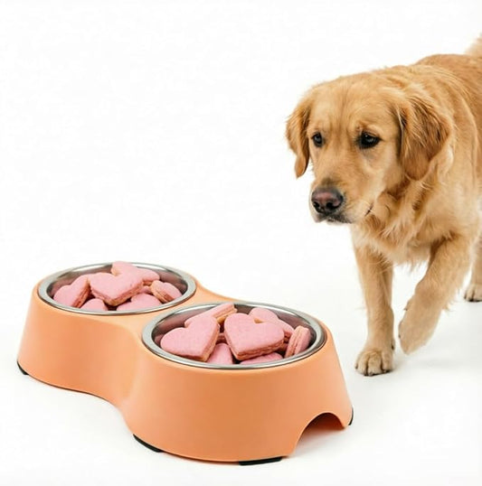 Large Orange Double Pet Bowl – Non-Slip Stainless Steel Food & Water Set for Medium/Large Dogs & Multiple Cats, BPA-Free Mess-Free Feeding Dishes