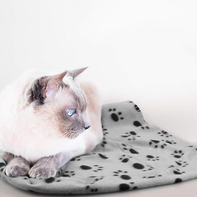 Comsmart Dog Blankets for Small Dogs, 6 Pack Puppy Blanket Cute Paw Print Pet Blanket for Dog, Puppy, Cat, Kitten, 24x28 inches, Grey