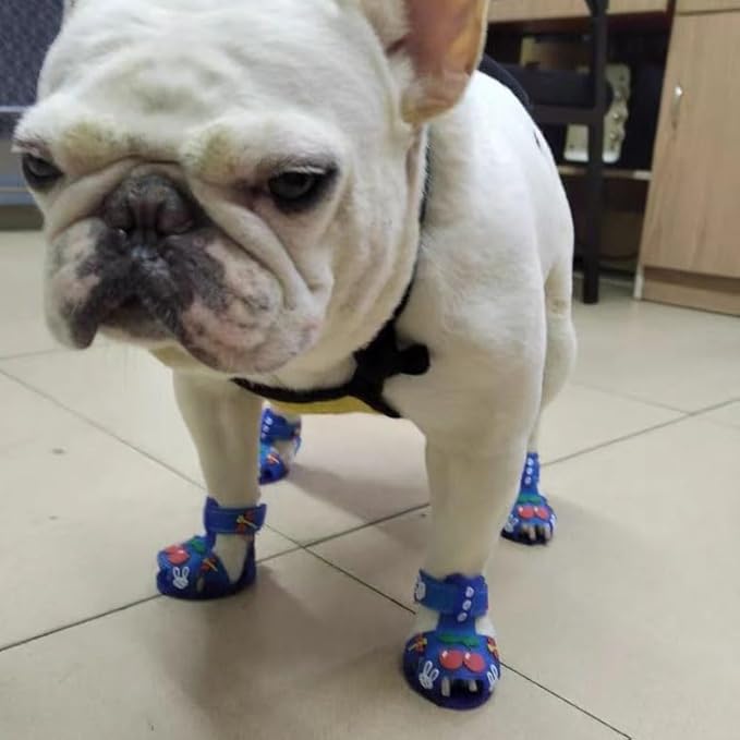 Cute Summer Dog Shoes Sweet Cherry Puppy Sandals Pet Jelly Shoes Flats, Dog Booties Paw Protector for Summer Hot Pavement (Candy Blue, #5: 2.56''x1.89''(Length*Width))