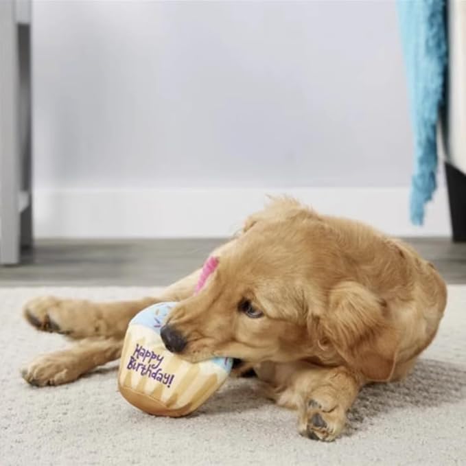Dog Squeaky Toys Plush Chew Toys Enrichment Toys Interactive Burrow Activity Cute Dog Birthday Gifts Funny Toy Bundle Pack for Small Medium Large Dogs (Birthday Cake - 4 Pack)