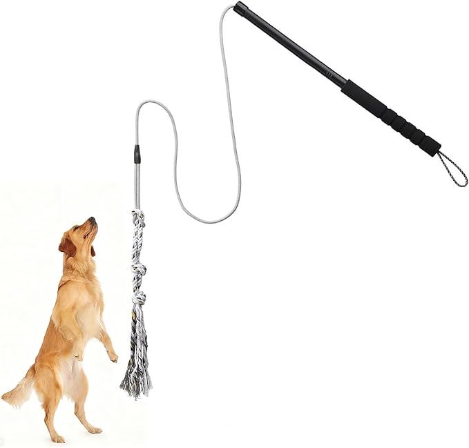 Gingull Outdoor Flirt Pole for Dogs - Interactive Toy Teaser Wand for Dogs Outdoor Chase and Tug of War Heavy Duty Dog Flirt Pole, Durable Pet Toys for Dog, Black