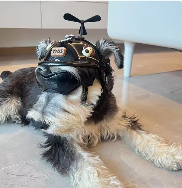 LESYPET Dog Helmet and Goggles for Small Breed, Puppy Motorcycle Helmet with Ear Holes, UV Protection Small Dog Sunglasses for Outdoor Activities/Riding/Walking