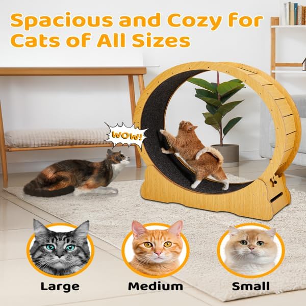 Wooden Cat Exercise Wheel, 43.3" Large Cats Treadmill Wheel for Indoor Cats,Cat Running Wheel with Detachable Carpet & Safety Lock for Running/Walking/Training,Quiet and Sturdy Suitable for Most Cats