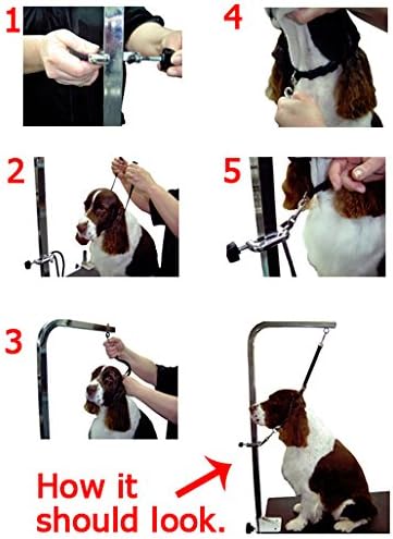 Groomers Helper® Classic Starter Set (Black)