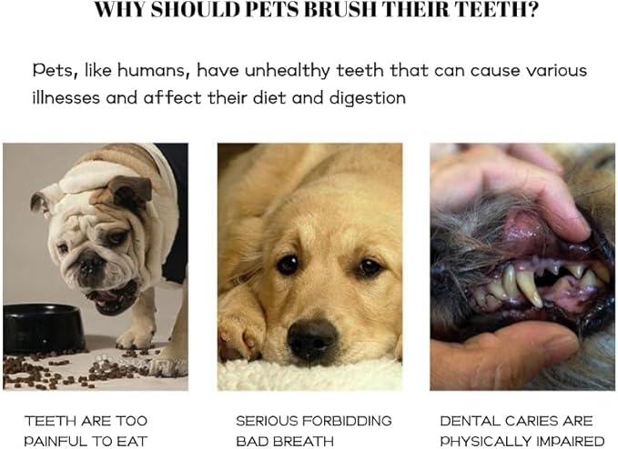 Pet Finger Toothbrush Set – Soft Silicone Toothbrush for Dogs & Cats – Gentle Finger Brush for Small Pets Dental Care (Blue Box Set)