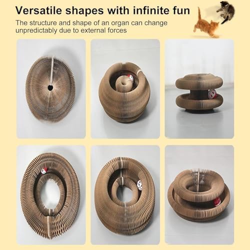 2Packs Kitty Curls Cat Toy,Magic Organ Cat Toy,Cat Scratcher for Grinding Claw Cardboard Cat Toys,Interactive Scratch Pad with Toy Ball