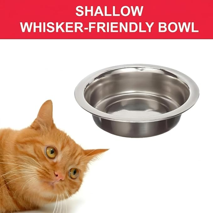 4 Pack Stainless Steel Cat & Dog Bowls, 8 oz Each, Small Pet Feeding Dishes for Food & Water, Lightweight & Durable