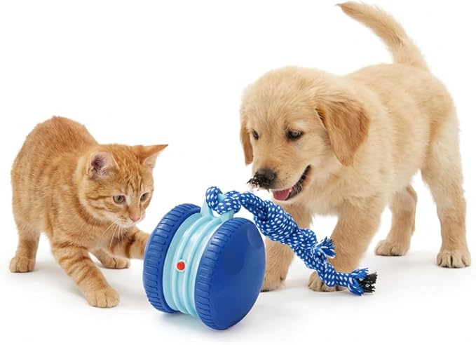 Interactive Cat Dog Toy Funny Automatic Moving Rolling Dog Toys with Rope for Small Medium Large Dogs Cats Rechargeable Puppy Toys Pet Ball to Keep Them Busy (Blue)