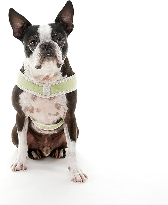 Gooby Simple Step in III Harness - Green, Medium - Small Dog Harness with Scratch Resistant Outer Vest - Soft Inner Mesh Harness for Small, Medium Dogs