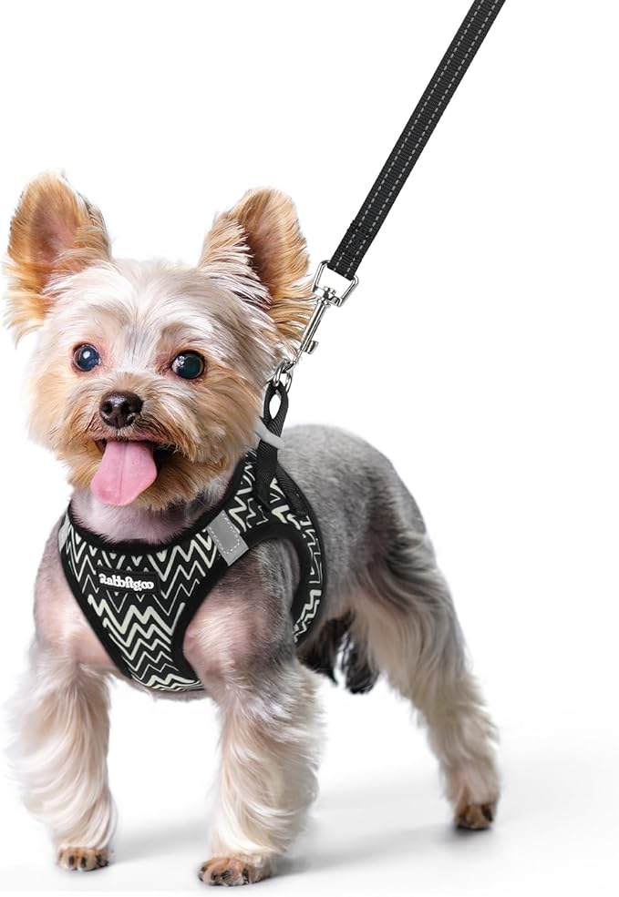 rabbitgoo Dog Harness Small Sized and Leash Set, Step in Soft Light Puppy Vest, Breathable Mesh Pet Harness, Reflective for Safe Easy Walking, Black Zigzag XS