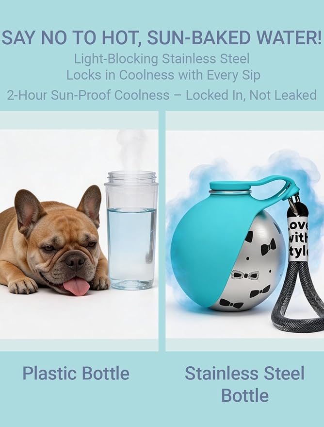 Portable Dog Water Bottle for Small Dogs: 285ml 2-in-1 Insulated Compact Leak-Proof Stainless Steel Round Water Dispenser with Collapsible Bowl for Daily Walks, Short Hikes & Travel
