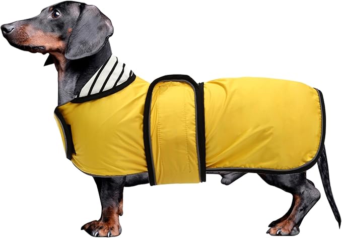 Dachshund Raincoat Corgi Raincoat Dogs Waterproof fit for Dachshunds Weiner Long Back Breeds with Reflective Stripe Great Coverage in Autumn Winter - Yellow - XL