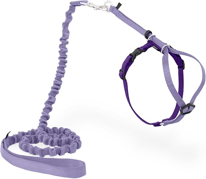 PetSafe Come with Me Kitty Harness and Bungee Leash Adjustable, Lightweight Harness for Cats Medium, Lilac