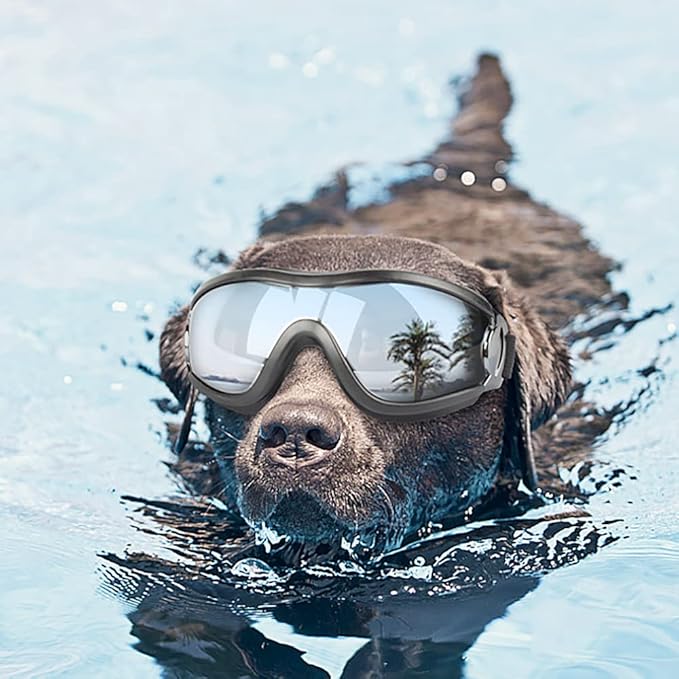 Dog Sunglasses Dog Goggles,UV Protection Wind Protection Dust Protection Snow Protection Fog Protection Pet Glasses Eye Wear Protection with Adjustable Strap for Medium or Large Dog