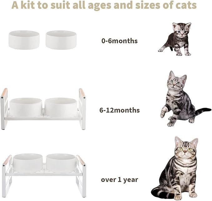 CEEFU Upgraded Elevated Cat Bowls, Adjustable Raised Cat Dishes Stand with 2 Ceramic Bowls for Cats and Dogs, 20 oz Each