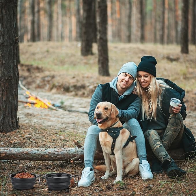 Limpet Collapsible Bowls,Set of 2 Travel Water Bowls for Pets, Portable Pet Feeding Watering Dish for Walking Parking Traveling with 2 Carabiners. (Black+Black, Large)