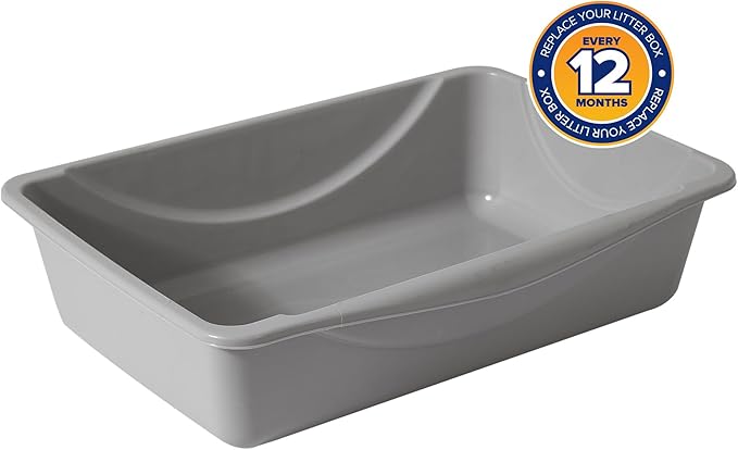 Petmate Basic Open Cat Litter Pan, Multidirectional Easy to Clean Plastic Litter Box, Gray, Made in USA, 14.5" x 10.5" x 3.5", Small Recommended for Kittens and Small Cats
