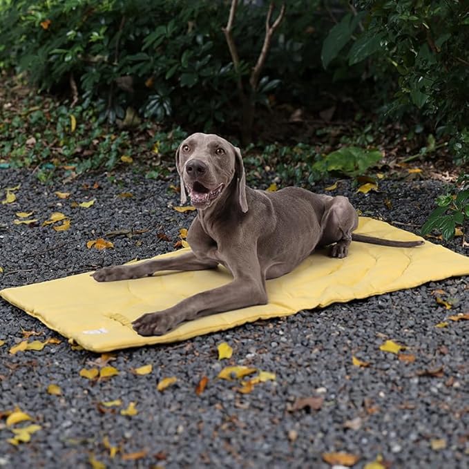 Travel Dog Bed | Camping Dog Bed | 46.46"x26.38" Waterproof Outdoor Dog Mat | Portable Place Mat for Dogs with Handle | Machine Washable | Easy Clean for Outdoor Adventures (Yellow, Large)