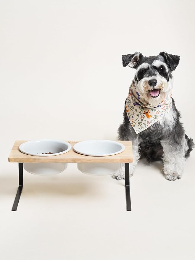 LE TAUCI PET Elevated Dog Bowls, Raised Dog Bowl Stand with Two 6.5 inch Ceramic Bowl, Non-Slip Puppy Food and Water Bowls, Dogs Feeder for Small and Medium Breed, White