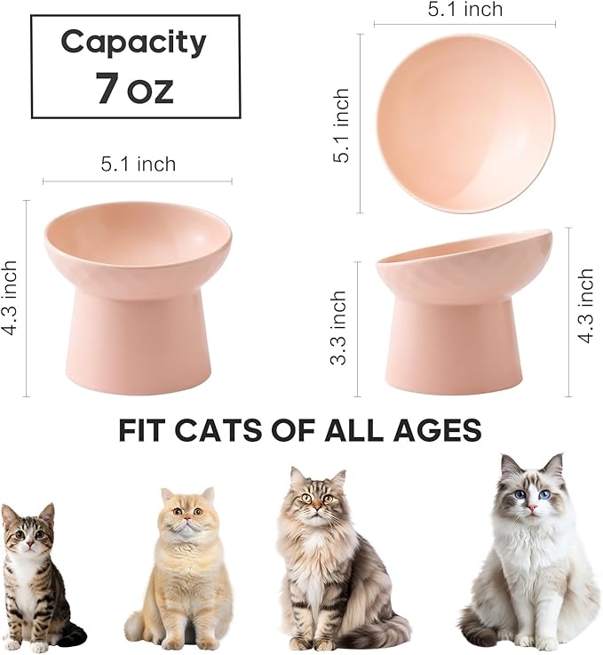 Ceramic Raised Cat Bowls - Elevated Tilted Cat Food and Water Bowls, Anti Vomiting and Protect Pets' Spines Pet Feeding Dish for Cats, Dishwasher Microwave Safe (1 x Bowl - Pink)