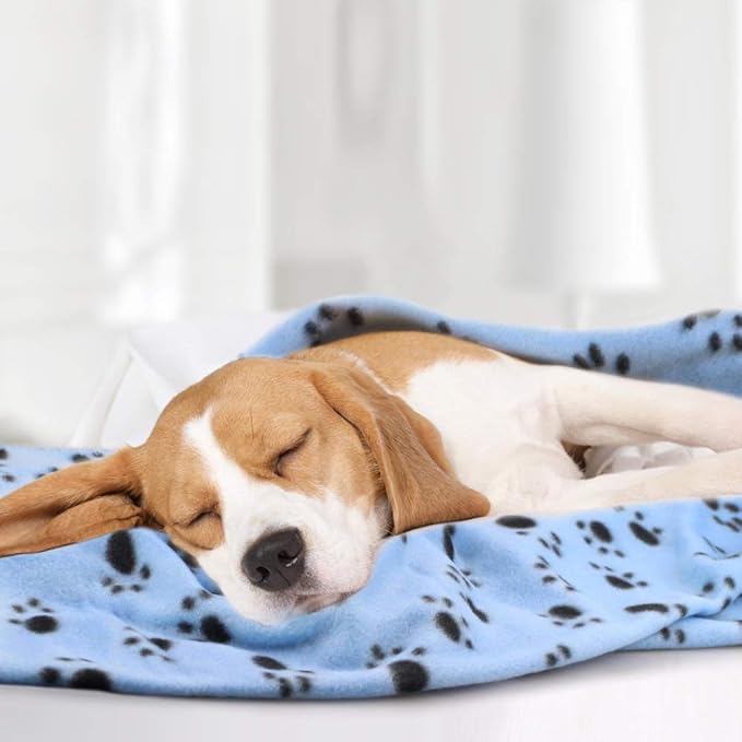 Comsmart Dog Blankets for Small Dogs, 6 Pack Puppy Blanket Cute Paw Print Pet Blanket for Dog, Puppy, Cat, Kitten, 39x31 inches, Blue