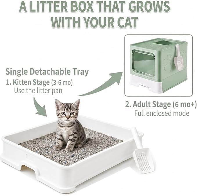 Medario Cat Litter Box with X-Large Litter Mat and Scoop, Large Covered Litter Box with Lid, Enclosed Kitty Box,Front Top Entry Exit, Odor Control Easy to Clean (Upgrade Green)