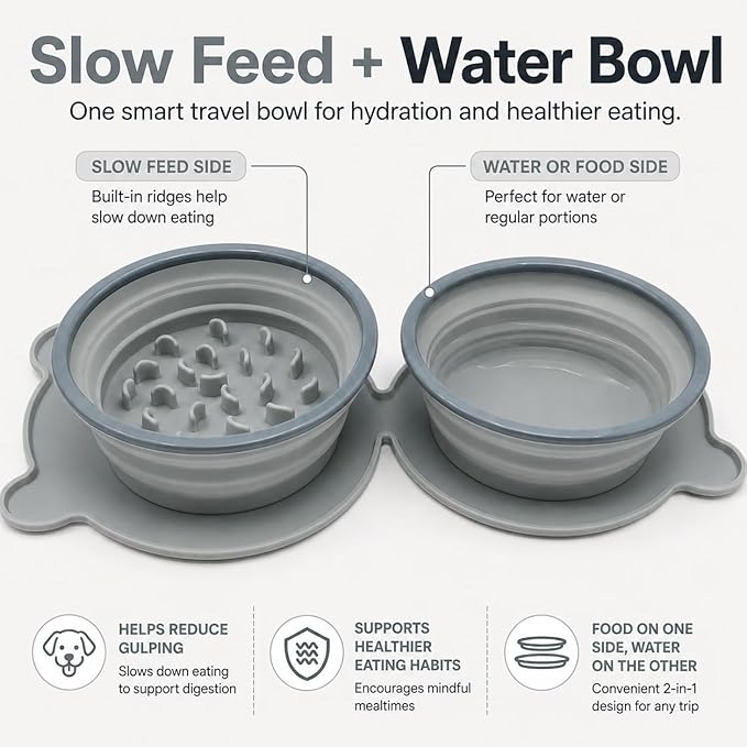 Collapsible Dog Bowls, 2-in-1 Silicone Pet Food and Water Bowl with Carabiner - Portable Double Compartment Travel Dish for Dogs, Ideal for Camping, Hiking, Car Rides, Puppy Essentials (Gray)