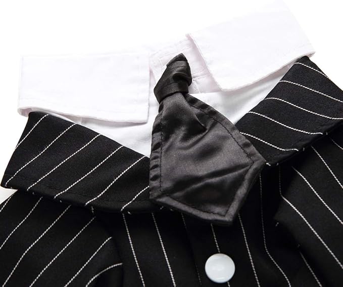 GabeFish Pets Wedding Jackets Suit for Dogs with Bow Tie Puppy Cat Formal Clothes Shirt Tuxedo (Striped, XL (Chest 18.8in/48cm)