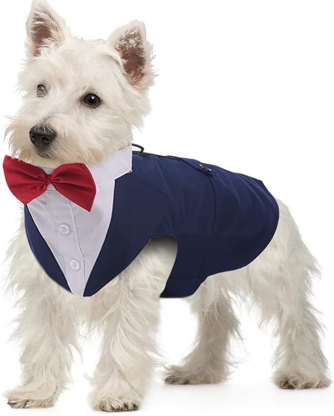 QBLEEV Dog Tuxedo Suit with Bow Tie, Formal Dog Tux Costume and Bandana Set for Wedding Outfit Birthday Party Cosplay Photo Shoot, Doggy Prince Attire for Chihuahua Yorkie Shih Tzu Pomeranian