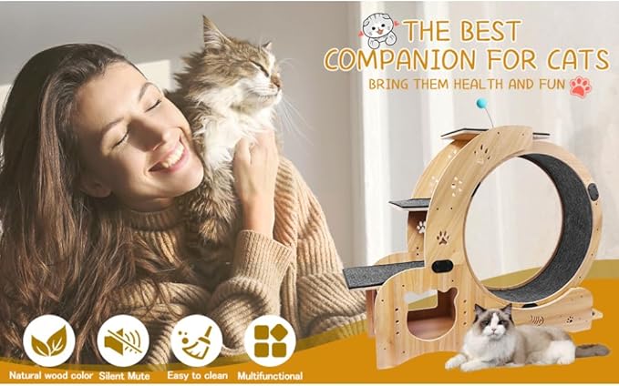 Cat Exercise Wheel for Indoor Cat Treadmill Running Wheel Toy with Non-Slip Base, 6-in-1 Multi-Functional Large