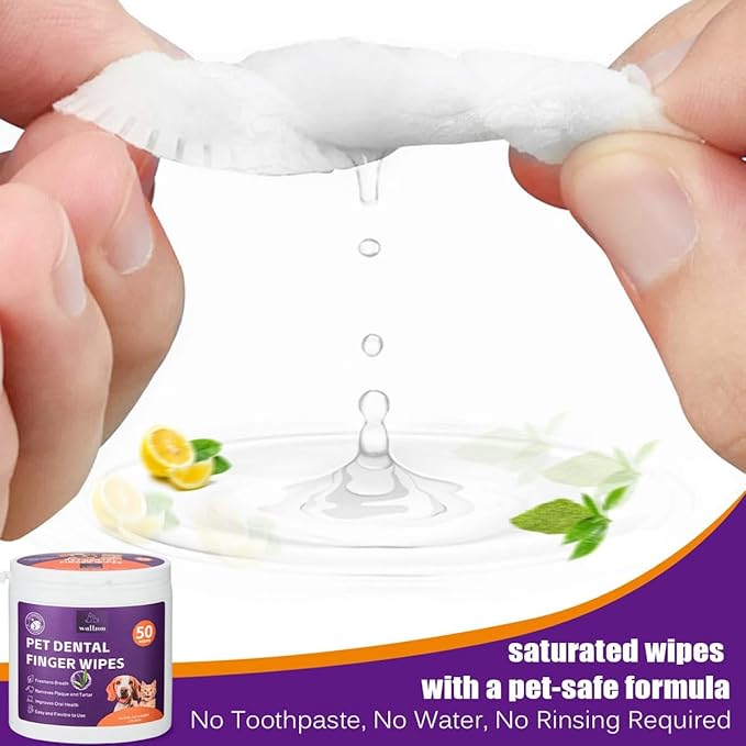 Teeth Cleaning Finger Wipes for Dogs & Cats, Soft Pet Dental Care Wipes, Disposable Pet Tooth Brushing Wipes, Gentle Cleaning & Gum Care Finger Pet Wipes (100 Wipes)