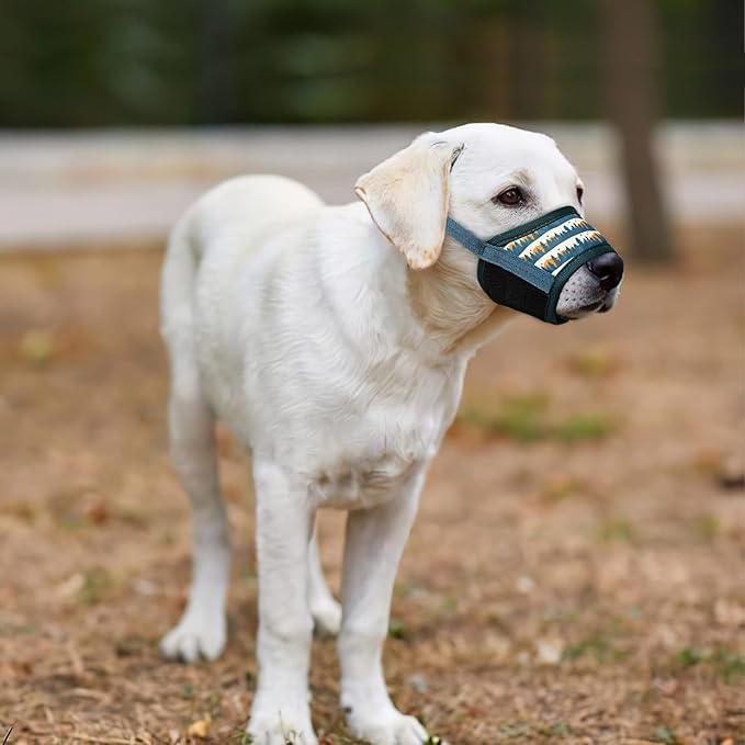 HEELE Dog Muzzle,Soft Nylon Muzzle Anti Biting Barking Chewing,Air Mesh Breathable Drinkable Adjustable Loop Pets Muzzle for Small Medium Large Dogs 4 Colors 4 Sizes (P-Green Valley, S)