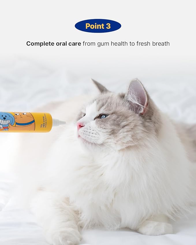 PETHROOM Pet Dental Solution Toothpaste for Dogs & Cats – Sweet Potato Flavor, Enzymatic Toothpaste for Fresh Breath & Plaque Control, Gentle Daily Dental Care, Net Wt 2.1 oz