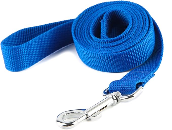 Nylon Dog Training Leash, Traction Rope, 4/5/6 Feet Long, 3/4 Inch 1 Inch Wide, for Small and Medium Dogs (1'' x 5 FT, Blue)