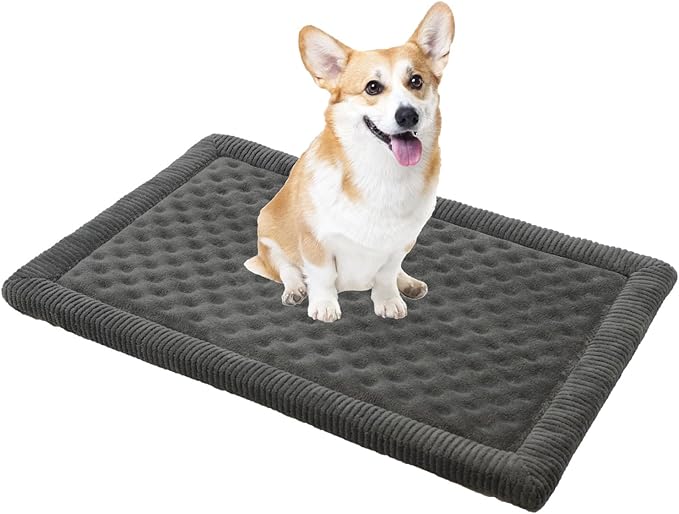 MINIDEAR Dog Crate Pad, Crate Bed Non-Skid Kennel Pad, Rubber Backing Memory Foam for Dog Bed Mat, Machine Washable Dog Bed for Crate, 19"x30"