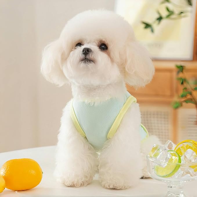 Dog Cooling Vest, Summer Pet T-Shirt, Breathable Quick-Dry Outfit for Dogs and Cats, Blue (Green, Large(8.8-12lb))