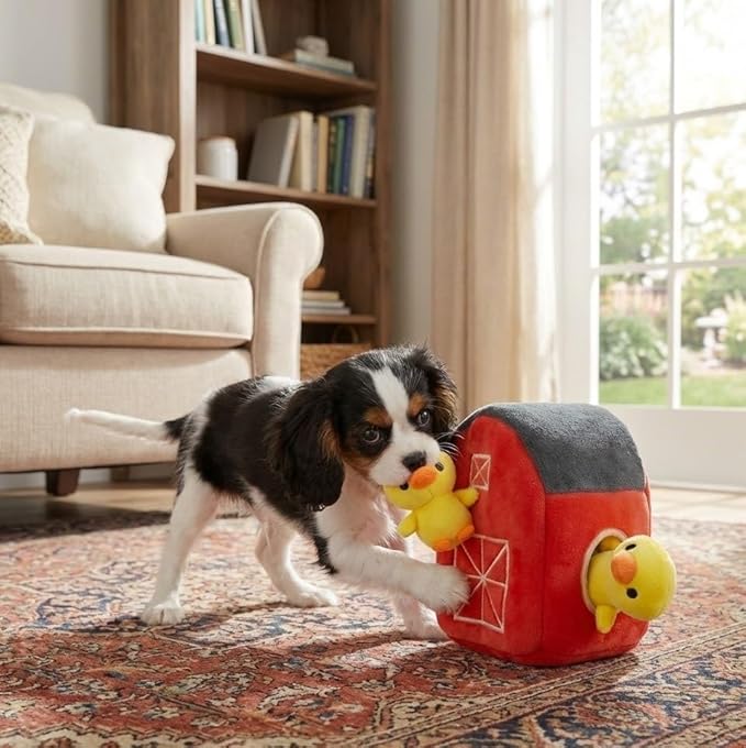 MODERN WAVE - Interactive Squeaky Plush Hide and Seek Squirrel Type Puzzle Toy for Dogs, Medium/Large Size (Farm and Ducks)