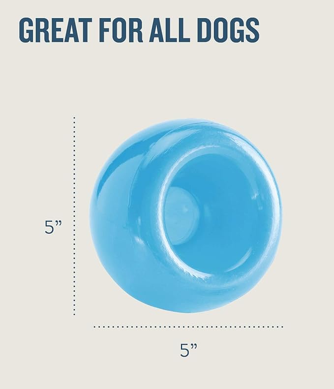 Outward Hound by Planet Dog Snoop Dog Toy – Treat‑Dispenser Puzzle Ball, Interactive Slow Feeder, Medium to Large Dogs, Bouncy & Mint-Infused, Blue, 5"
