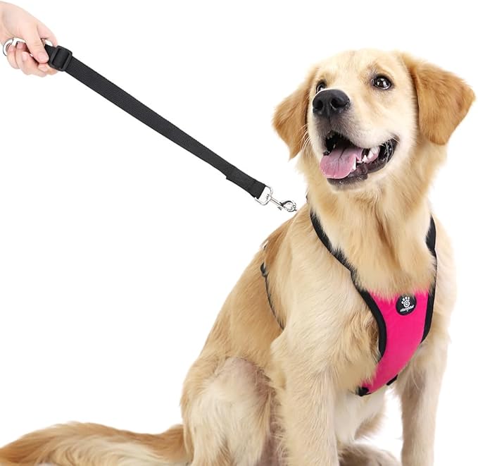 VavoPaw Dog Seat Belt, Safety Vest Dog Car Harness with Adjustable Buckle Dog Seat Belt for Vehicle Nylon Pet Safety Seat Belts Heavy Duty(M, Magenta)