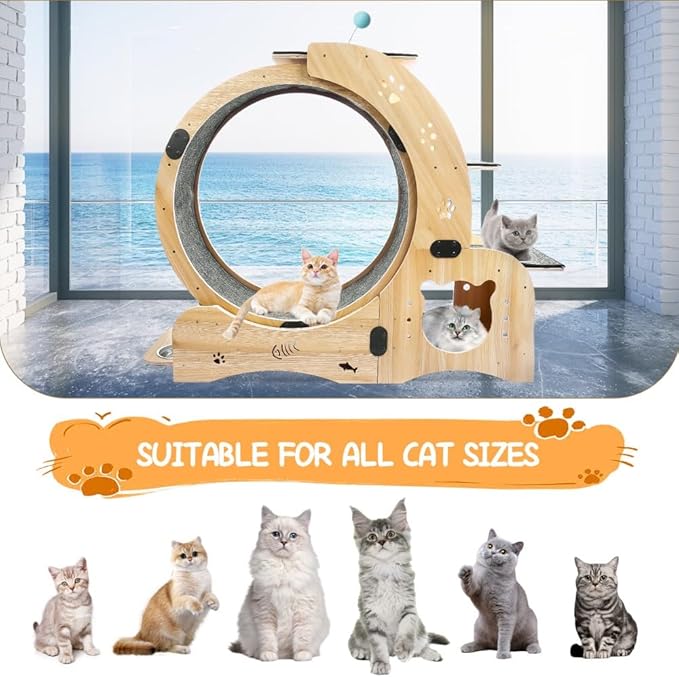 Upgraded Cat Exercise Wheel, Large Cat Treadmill with House, Wet Dry Bowl, Pedal Shelf, Hairball Toy, Cats Running Wheels for Indoor Cats (Wood)