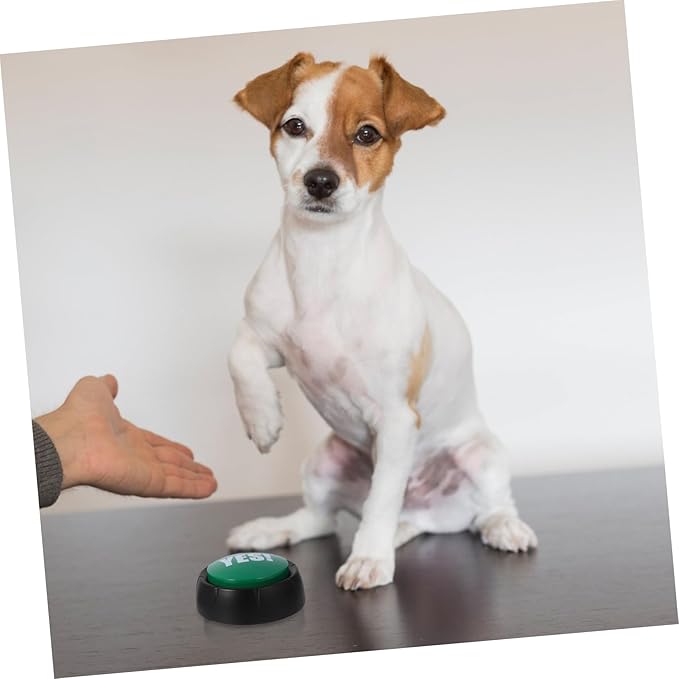 SUPVOX 4pcs Pet Voice Button Interactive Talking Buttons for Dog Stimulation Random Color
