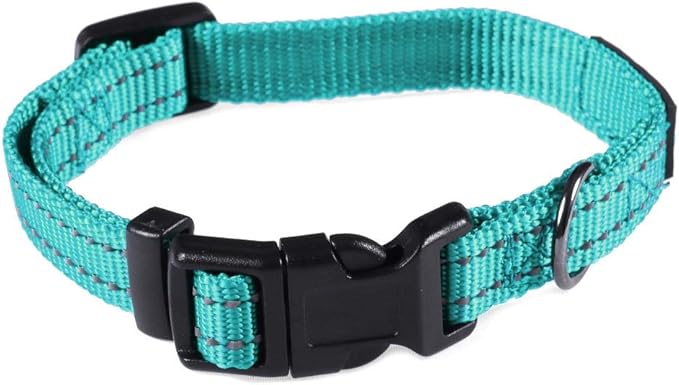 Max and Neo NEO Nylon Buckle Reflective Dog Collar - We Donate a Collar to a Dog Rescue for Every Collar Sold (X-Small, Teal)