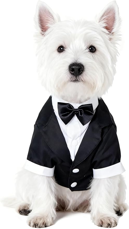 GabeFish Pets Wedding Jackets Suit for Dogs with Bow Tie Puppy Cat Formal Clothes Shirt Tuxedo (Black, XL (Chest 18.8in/48cm)