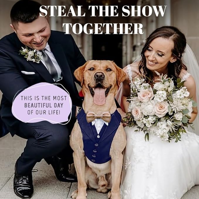 AVERYDAY Dog Tuxedo For Wedding Outfit, Aesthetic Dog Suit and Tie for Birthday, Halloween, Cosplay, Christmas Party, Formal Wear Dog Costumes with Bowtie, Dog Tuxedo for Small Dogs to Large Dogs Male